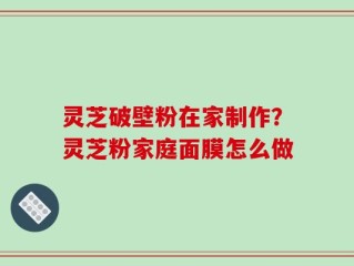 灵芝破壁粉在家制作？灵芝粉家庭面膜怎么做