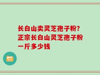 长白山卖灵芝孢子粉？正宗长白山灵芝孢子粉一斤多少钱