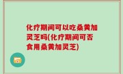 化疗期间可以吃桑黄加灵芝吗(化疗期间可否食用桑黄加灵芝)