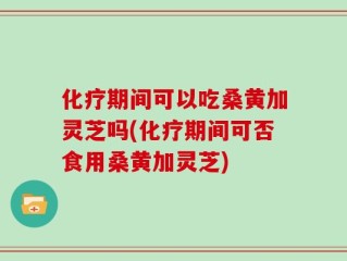 化疗期间可以吃桑黄加灵芝吗(化疗期间可否食用桑黄加灵芝)