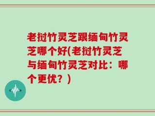 老挝竹灵芝跟缅甸竹灵芝哪个好(老挝竹灵芝与缅甸竹灵芝对比：哪个更优？)