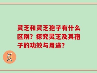灵芝和灵芝孢子有什么区别？探究灵芝及其孢子的功效与用途？