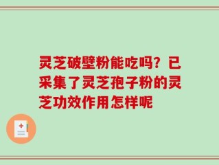 灵芝破壁粉能吃吗？已采集了灵芝孢子粉的灵芝功效作用怎样呢