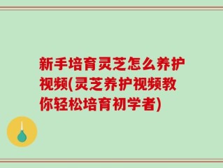新手培育灵芝怎么养护视频(灵芝养护视频教你轻松培育初学者)