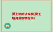 灵芝站附近购物(灵芝站周边购物指南)