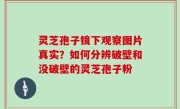 灵芝孢子镜下观察图片真实？如何分辨破壁和没破壁的灵芝孢子粉