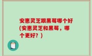 安惠灵芝跟黑莓哪个好(安惠灵芝和黑莓，哪个更好？)