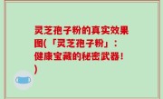 灵芝孢子粉的真实效果图(「灵芝孢子粉」：健康宝藏的秘密武器！)
