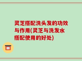 灵芝搭配洗头发的功效与作用(灵芝与洗发水搭配使用的好处)