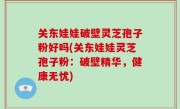 关东娃娃破壁灵芝孢子粉好吗(关东娃娃灵芝孢子粉：破壁精华，健康无忧)