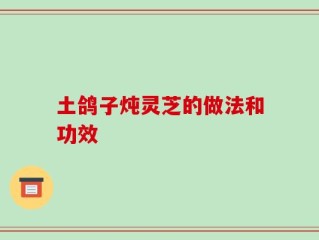 土鸽子炖灵芝的做法和功效