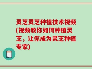 灵芝灵芝种植技术视频(视频教你如何种植灵芝，让你成为灵芝种植专家)