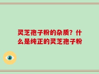 灵芝孢子粉的杂质？什么是纯正的灵芝孢子粉
