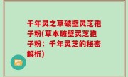 千年灵之草破壁灵芝孢子粉(草本破壁灵芝孢子粉：千年灵芝的秘密解析)