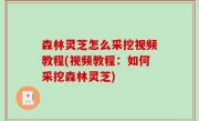 森林灵芝怎么采挖视频教程(视频教程：如何采挖森林灵芝)