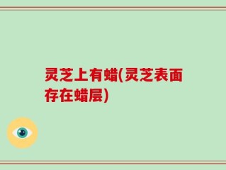 灵芝上有蜡(灵芝表面存在蜡层)