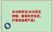 长沙种灵芝(长沙灵芝种植：重视天然生态，打造高品质产品)