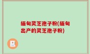 缅甸灵芝孢子粉(缅甸出产的灵芝孢子粉)
