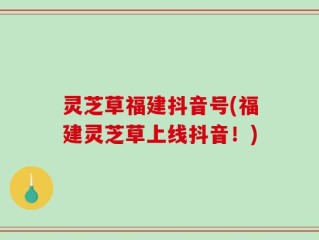 灵芝草福建抖音号(福建灵芝草上线抖音！)