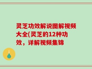 灵芝功效解说图解视频大全(灵芝的12种功效，详解视频集锦