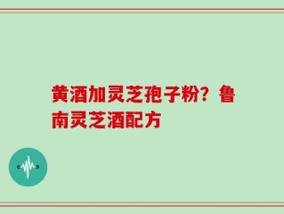 黄酒加灵芝孢子粉？鲁南灵芝酒配方