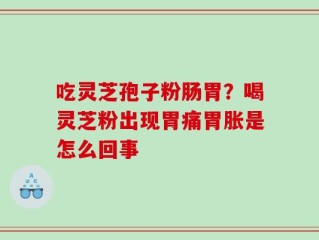 吃灵芝孢子粉肠胃？喝灵芝粉出现胃痛胃胀是怎么回事