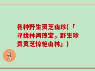各种野生灵芝山珍(「寻找林间瑰宝，野生珍贵灵芝惊艳山林」)