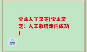 宝丰人工灵芝(宝丰灵芝：人工栽培走向成功)