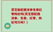 灵芝能配西洋参生姜红枣枸杞吗(灵芝搭配西洋参、生姜、红枣、枸杞可行吗？)