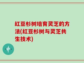红豆杉树培育灵芝的方法(红豆杉树与灵芝共生技术)