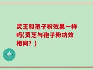 灵芝和孢子粉效果一样吗(灵芝与孢子粉功效相同？)
