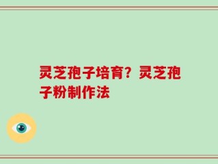 灵芝孢子培育？灵芝孢子粉制作法