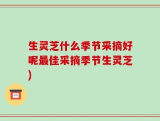 生灵芝什么季节采摘好呢最佳采摘季节生灵芝)