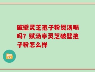 破壁灵芝孢子粉煲汤喝吗？赋汤亭灵芝破壁孢子粉怎么样