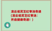 凌云诺灵芝红枣汤奇遇(凌云诺灵芝红枣汤：开启健康奇遇！)
