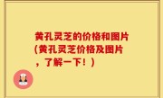 黄孔灵芝的价格和图片(黄孔灵芝价格及图片，了解一下！)