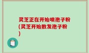 灵芝正在开始喷孢子粉(灵芝开始散发孢子粉)