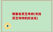 哪里有灵芝母种(寻找灵芝母种的好去处)