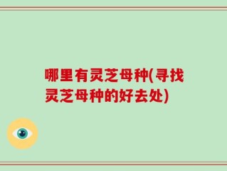哪里有灵芝母种(寻找灵芝母种的好去处)