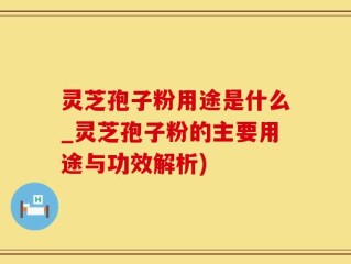 灵芝孢子粉用途是什么_灵芝孢子粉的主要用途与功效解析)