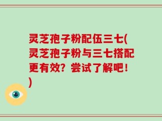灵芝孢子粉配伍三七(灵芝孢子粉与三七搭配更有效？尝试了解吧！)