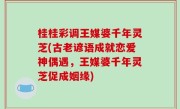 桂桂彩调王媒婆千年灵芝(古老谚语成就恋爱神偶遇，王媒婆千年灵芝促成姻缘)