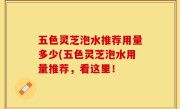 五色灵芝泡水推荐用量多少(五色灵芝泡水用量推荐，看这里！