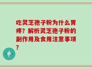 吃灵芝孢子粉为什么胃疼？解析灵芝孢子粉的副作用及食用注意事项？