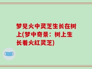梦见火中灵芝生长在树上(梦中奇景：树上生长着火红灵芝)