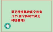 灵芝种植基地富宁县有几个(富宁县设立灵芝种植基地)