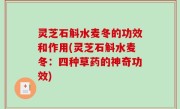 灵芝石斛水麦冬的功效和作用(灵芝石斛水麦冬：四种草药的神奇功效)