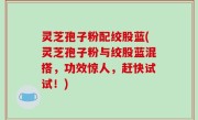 灵芝孢子粉配绞股蓝(灵芝孢子粉与绞股蓝混搭，功效惊人，赶快试试！)
