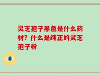 灵芝孢子黑色是什么药材？什么是纯正的灵芝孢子粉
