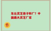 东北灵芝孢子粉厂？中国最大灵芝厂家